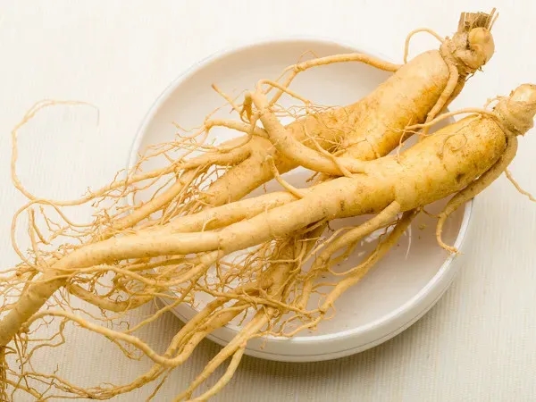 Właściwości i zastosowanie dzikiego żeń-szenia - poradnik