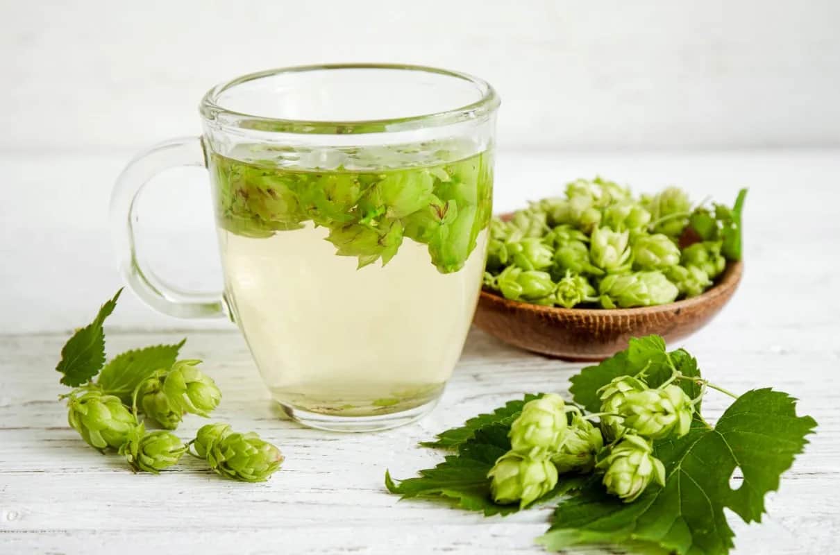 Jak zrobić napar z szyszek chmielu: naturalny sposób na spokojny sen