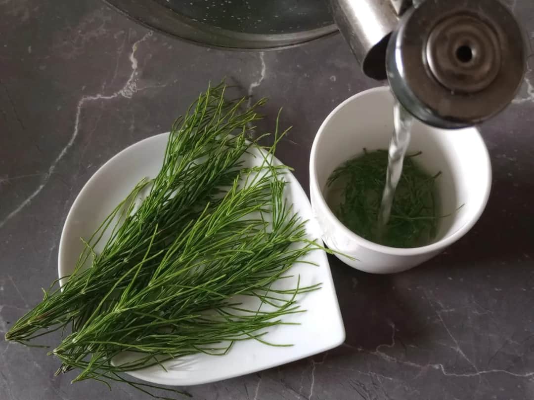 Jak zrobić napar ze skrzypu polnego: prosty przepis na domową kurację