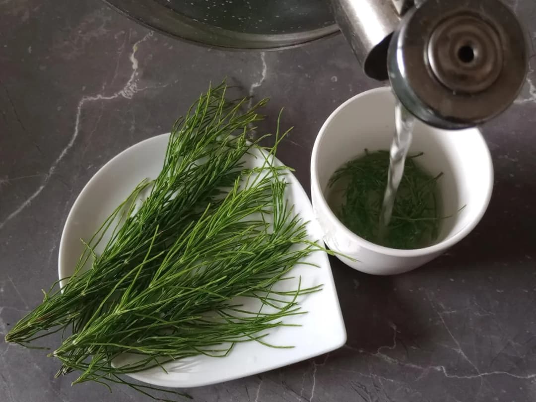 Jak zrobić napar ze skrzypu polnego: prosty przepis na domową kurację