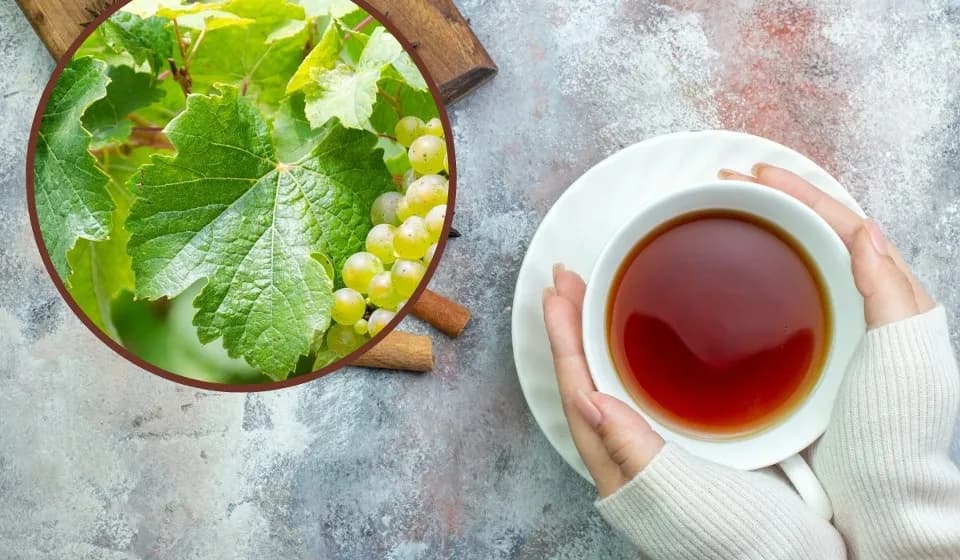 Gdzie kupić herbatę z liści winogron - najlepsze sklepy i sprawdzone źródła