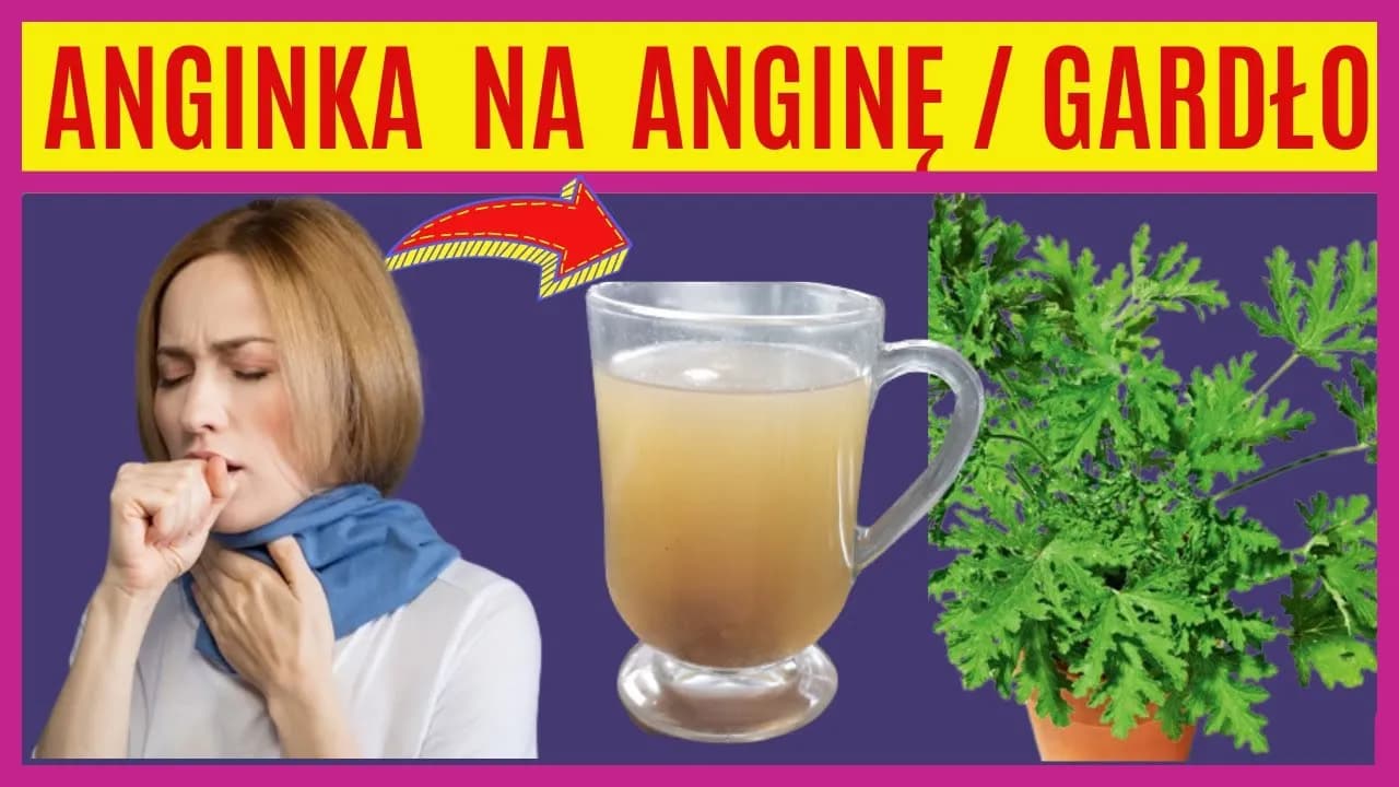 Jak zrobić herbatę z geranium: prosty przepis na zdrowy domowy napar