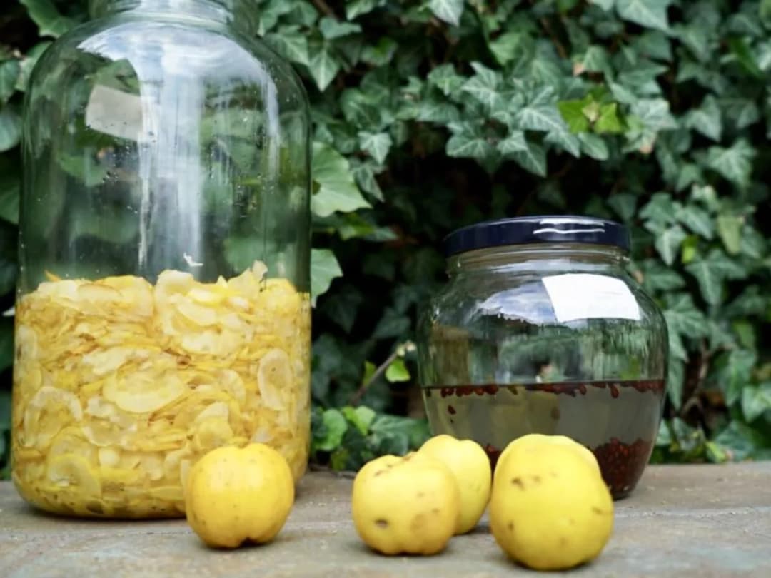 Domowy sok z pigwy do herbaty - prosty przepis na aromatyczny dodatek