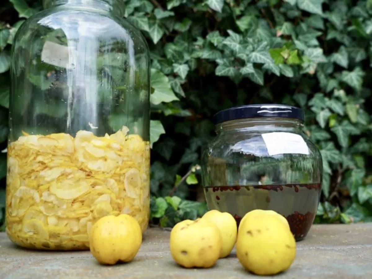 Domowy sok z pigwy do herbaty - prosty przepis na aromatyczny dodatek