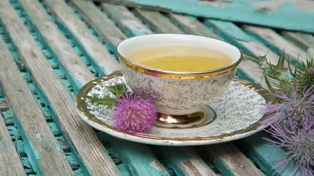 Jak zrobić napar z ostropestu: prosty sposób na regenerację wątroby