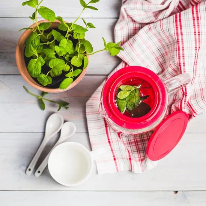 Jak prawidłowo zaparzać herbatę, aby uniknąć gorzkiego smaku i cieszyć się aromatem
