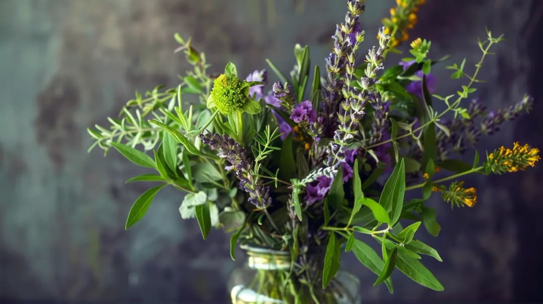 Jak stworzyć piękny i aromatyczny bukiet z ziół? Poradnik DIY