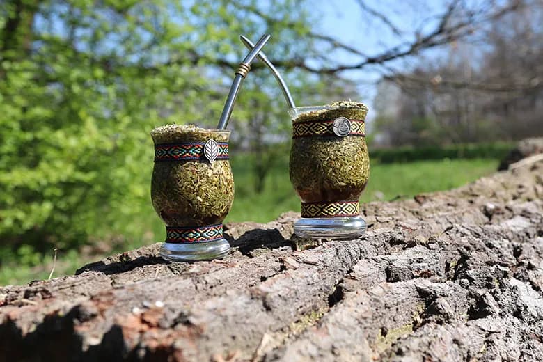 Yerba mate w Łodzi: 5 miejsc, gdzie kupisz najwyższej jakości
