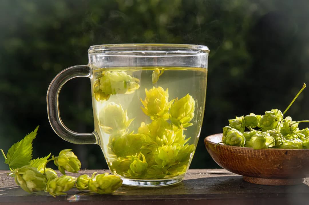 Gdzie kupić herbatę z szyszek chmielu: najlepsze sklepy online i stacjonarne