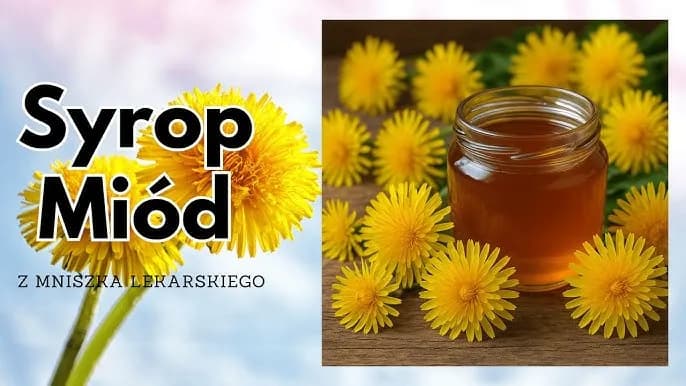 Jak zrobić herbatę z mniszka lekarskiego: przepis domowy krok po kroku