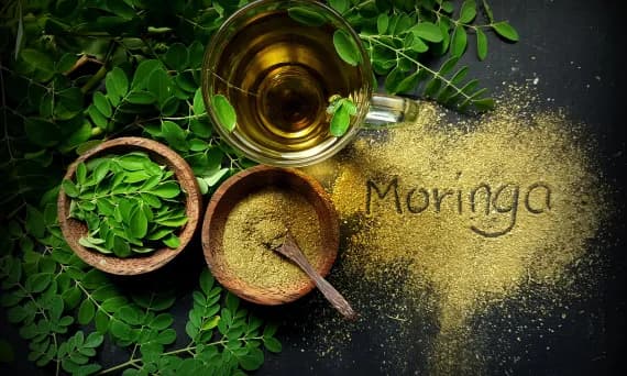 Jak prawidłowo pić herbatę moringa - kompletny poradnik parzenia naparu