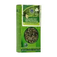 Najlepsza herbata na zatrucie pokarmowe – jak złagodzić objawy naturalnie