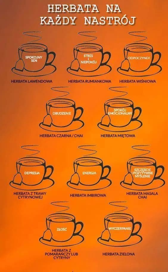 Jaka herbata na co? Lecznicze właściwości różnych rodzajów