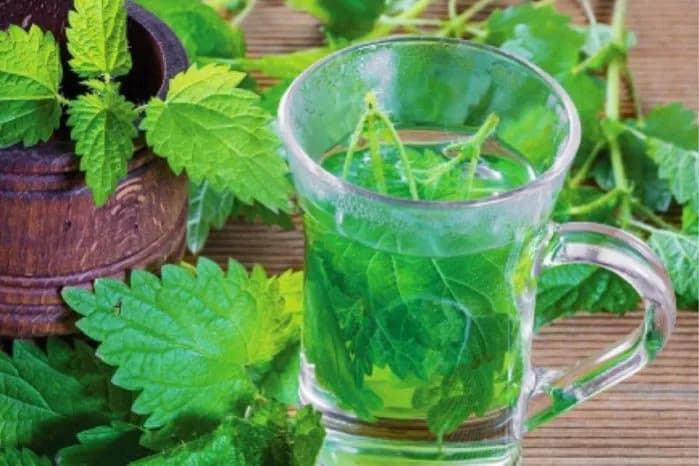 Właściwości herbaty z pokrzywy: 7 korzyści zdrowotnych i zastosowań