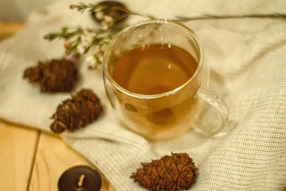 Jak przygotować zdrową herbatę z igieł sosny: prosty przepis krok po kroku